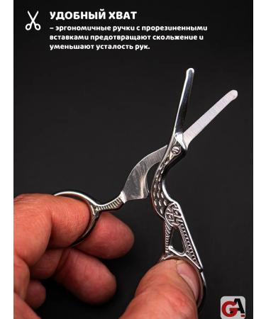 PAIE Safe scissors for beard mustache and nose of her troops - Buy Online on GoSupps.com