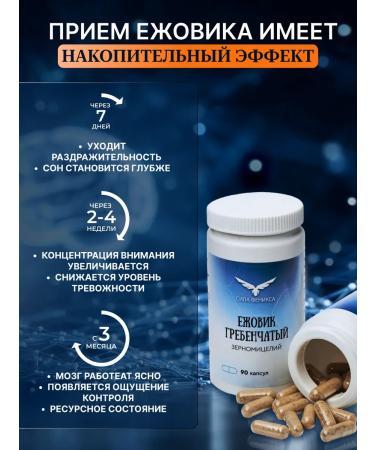 Phoenix Force Ezhovik Channel mycelium in capsules - Buy Online on GoSupps.com