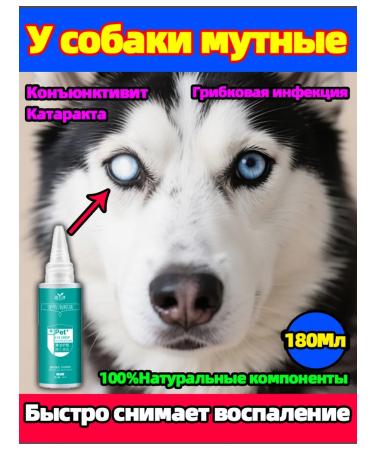 Drops for the eyes of dogs and cats