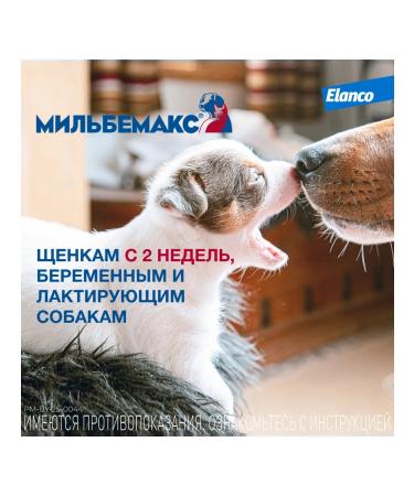 Elanco Milbemax for puppies and dogs of small breeds - Buy Online on GoSupps.com