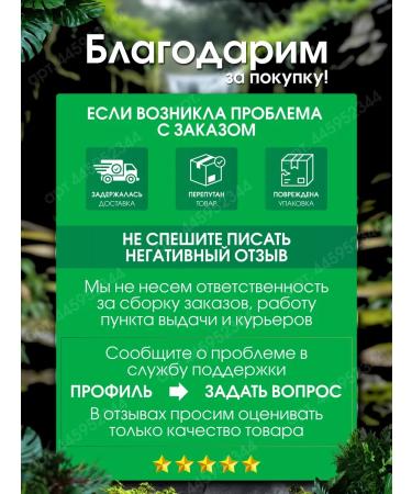 Irish Spring Natural Mexican soap with flax seeds 3pcs - Buy Online on GoSupps.com