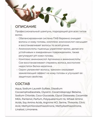 Tashe Professional shampoo with amino acids 1000 ml - Buy Online on GoSupps.com