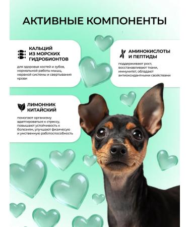 Yappy Pet Vitamins of immunopots for cats and dogs of different breeds - Buy Online on GoSupps.com