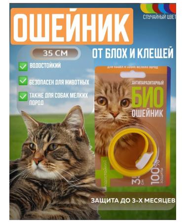 Set of drops and 1 collar - Buy Online on GoSupps.com