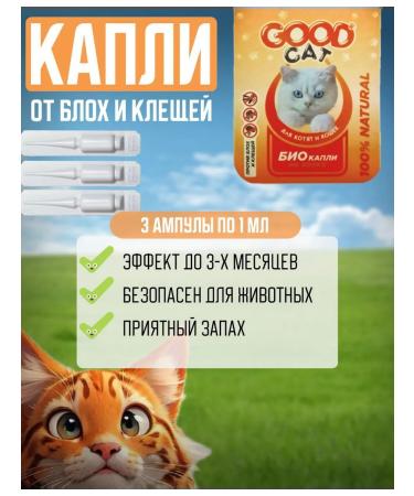 Set of drops and 1 collar - Buy Online on GoSupps.com