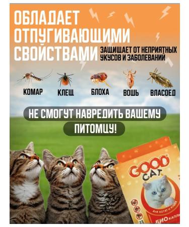 Set of drops and 1 collar - Buy Online on GoSupps.com