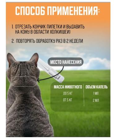 Set of drops and 1 collar - Buy Online on GoSupps.com