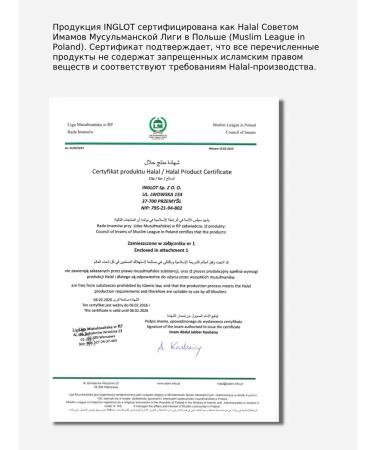 INGLOT Conceler for the region under the eyes 97 - Buy Online on GoSupps.com