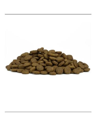 Forza10 Dry food for dogs Diet fish 12 kg - Buy Online on GoSupps.com
