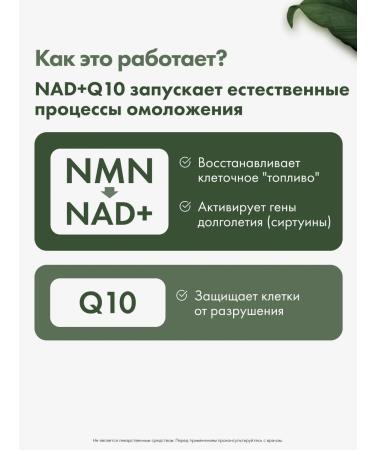 RESTARTBIO Nmn + q10 nicotinomide mononucleotide 500 mg 60 cap - Buy Online on GoSupps.com