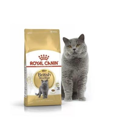 ROYAL CANIN Dry food for British cats 2kg - Buy Online on GoSupps.com