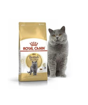 ROYAL CANIN Dry food for British cats 0.4kg - Buy Online on GoSupps.com