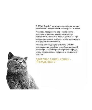 ROYAL CANIN Dry food for British cats 0.4kg - Buy Online on GoSupps.com