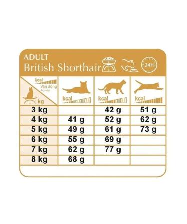 ROYAL CANIN Dry food for British cats 4 kg - Buy Online on GoSupps.com