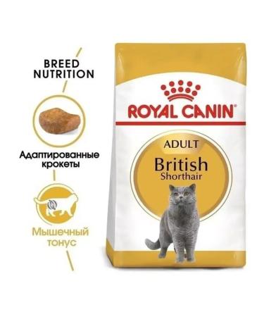 ROYAL CANIN Dry food for British cats 4 kg - Buy Online on GoSupps.com