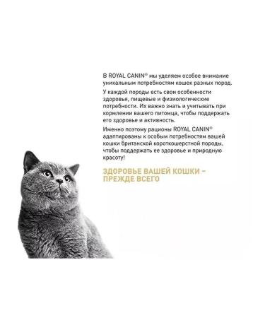 ROYAL CANIN Dry food for British cats 4 kg - Buy Online on GoSupps.com