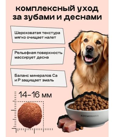 SPACEBAK Dry food for dogs 4 kg hypoallergenic with lamb - Buy Online on GoSupps.com