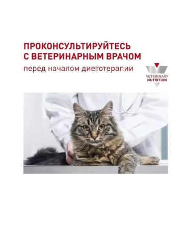 ROYAL CANIN Cat food for dry Neuthed Satiety Balance 1.5 kg steril - Buy Online on GoSupps.com
