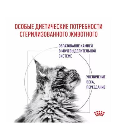 ROYAL CANIN Cat food for dry Neuthed Satiety Balance 1.5 kg steril - Buy Online on GoSupps.com