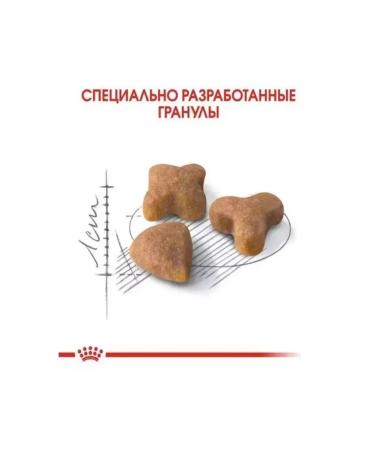 ROYAL CANIN Cat food with sensitive digestion of a sensibe 0.4 kg - Buy Online on GoSupps.com