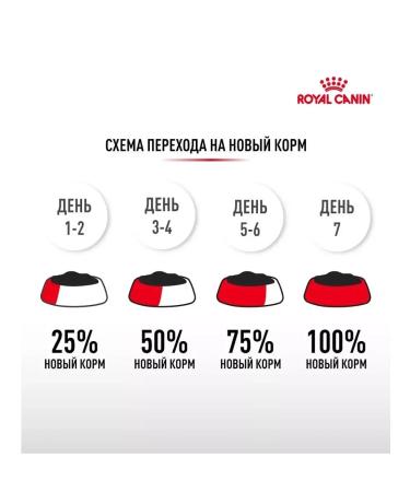 ROYAL CANIN Cat food with sensitive digestion of a sensibe 0.4 kg - Buy Online on GoSupps.com