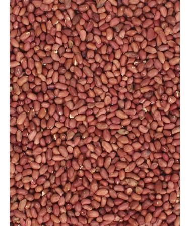 Raw peeled peanuts 1kg - Buy Online on GoSupps.com