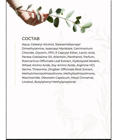 Tashe Professional hair growth mask 500 ml - Buy Online on GoSupps.com