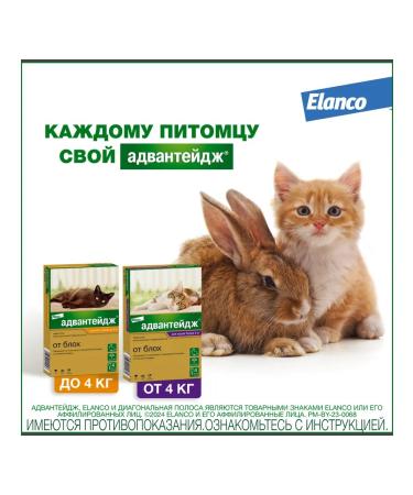 Elanco Advantage 40 to a drop for cats less than 4 kg 1 pitch - Buy Online on GoSupps.com