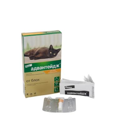 Elanco Advantage 40 to a drop for cats less than 4 kg 1 pitch - Buy Online on GoSupps.com