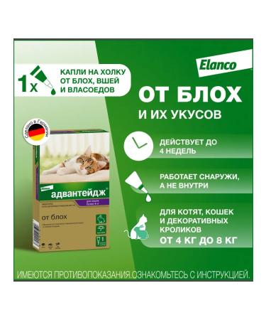Elanco Drops Advanteid 80 k for cats more than 4 kg 1 pipette - Buy Online on GoSupps.com
