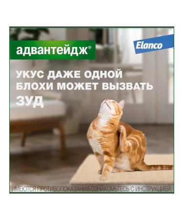 Elanco Drops Advanteid 80 k for cats more than 4 kg 1 pipette - Buy Online on GoSupps.com
