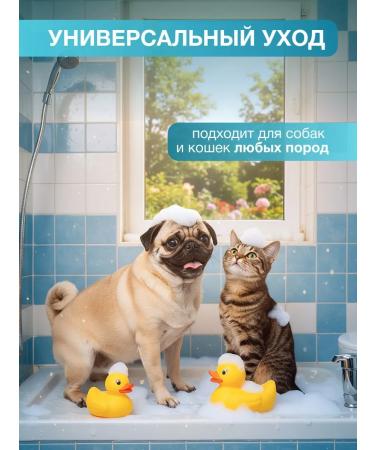 KiesKis Universal shampoo for animals 1l - Buy Online on GoSupps.com