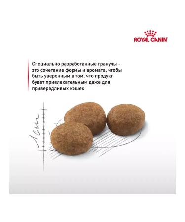 ROYAL CANIN Sterilized 37 Sterilized 37 for sterilized cats 1.2 kg - Buy Online on GoSupps.com