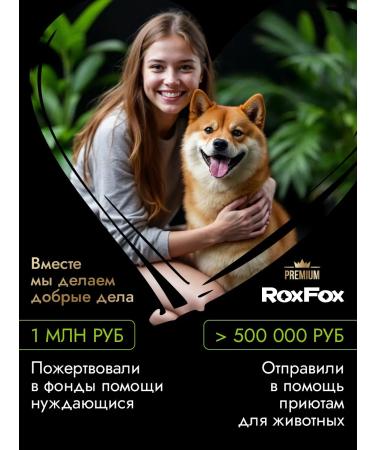 RoxFox Hypoallergenic dog shampoo from smell 1l - Buy Online on GoSupps.com