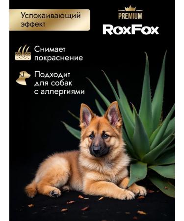 RoxFox Hypoallergenic dog shampoo from smell 1l - Buy Online on GoSupps.com