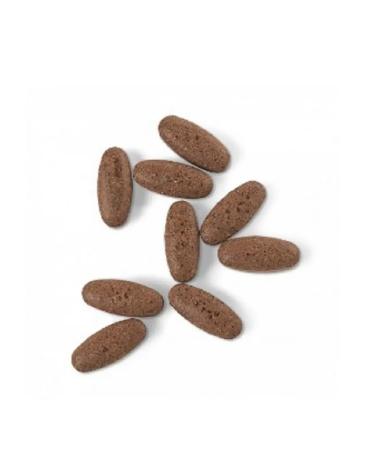 Denali Pro 0408 ginkgo biloba plaS tablets - Buy Online on GoSupps.com