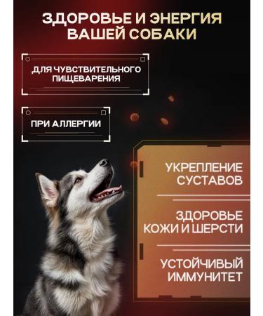 cosmodog Dry food for dogs 6 kg with a probiotic lamb - Buy Online on GoSupps.com