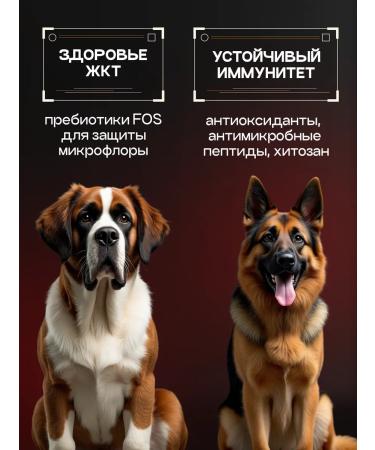cosmodog Dry food for dogs 8 kg with a probiotic lamb - Buy Online on GoSupps.com