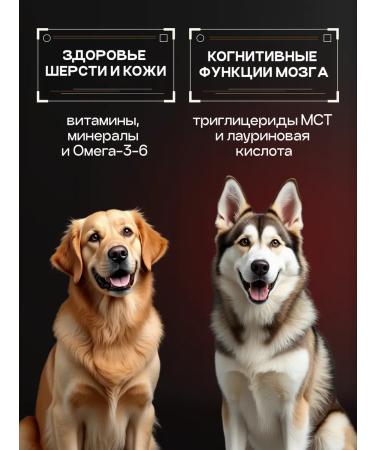 cosmodog Dry food for dogs 8 kg with a probiotic lamb - Buy Online on GoSupps.com