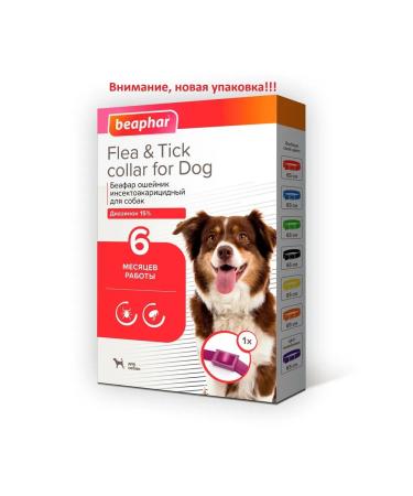 beaphar Belch collar for dogs Violet 65cm