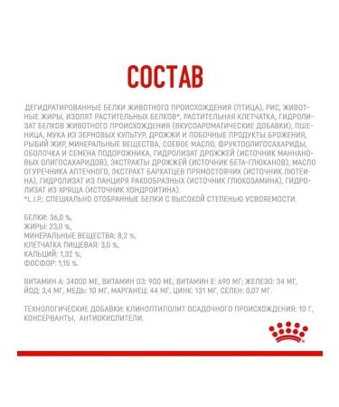 ROYAL CANIN Dry food 2 kg for kittens Maine Kun Kitten (Kitten) - Buy Online on GoSupps.com