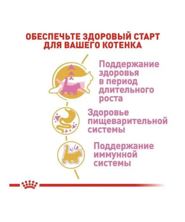ROYAL CANIN Dry food 2 kg for kittens Maine Kun Kitten (Kitten) - Buy Online on GoSupps.com