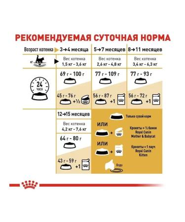 ROYAL CANIN Dry food 0.4 kg for kittens Maine Kun Kitten (Kitten) - Buy Online on GoSupps.com