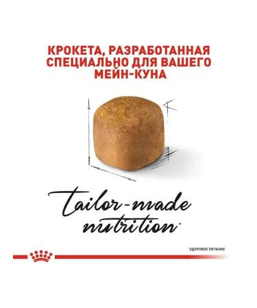 ROYAL CANIN Dry food 0.4 kg for kittens Maine Kun Kitten (Kitten) - Buy Online on GoSupps.com