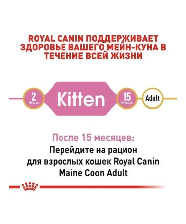 ROYAL CANIN Dry food 0.4 kg for kittens Maine Kun Kitten (Kitten) - Buy Online on GoSupps.com