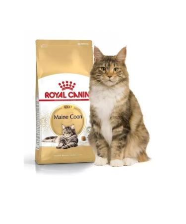 ROYAL CANIN Dry food 4 kg for cats Maine Coon (Maine Coon) - Buy Online on GoSupps.com