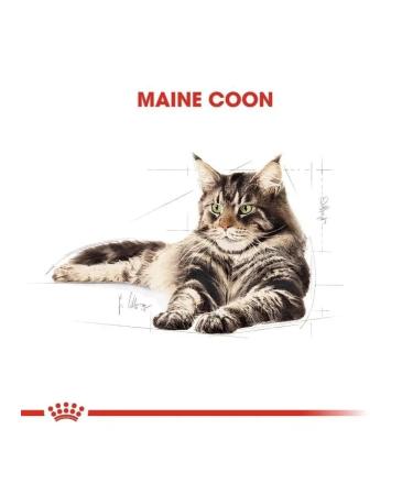 ROYAL CANIN Dry food 4 kg for cats Maine Coon (Maine Coon) - Buy Online on GoSupps.com