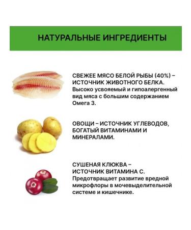 HOLISTOFF Bezernary food for sterilized cats White fish 2.6kg - Buy Online on GoSupps.com