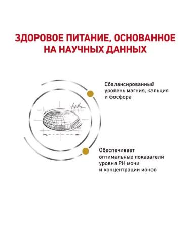 ROYAL CANIN Dry food for cats Urinary S. Feline 1.5 kg - Buy Online on GoSupps.com