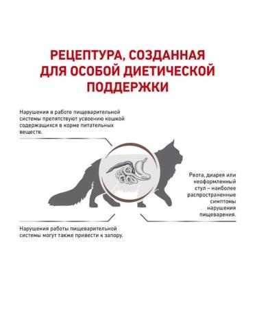 ROYAL CANIN Dry food for cats Gastrointestinal Fiber Response 0.35 kg - Buy Online on GoSupps.com